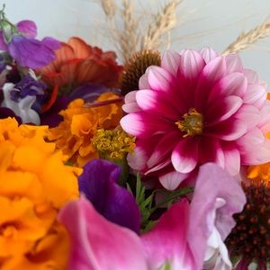 Meet your Posher, Kelly